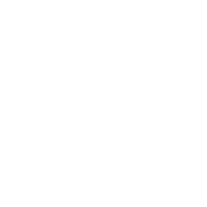 WAREHOUSING